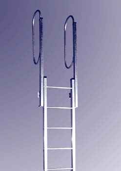 fixed ladder handrail