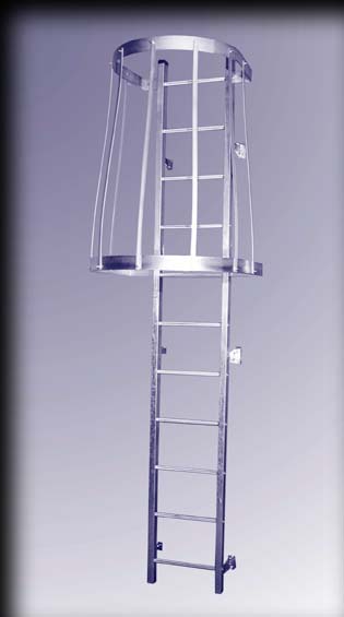 fixed ladder, exit cage